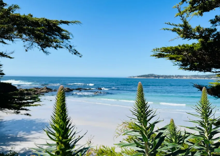 Carmel Point plage