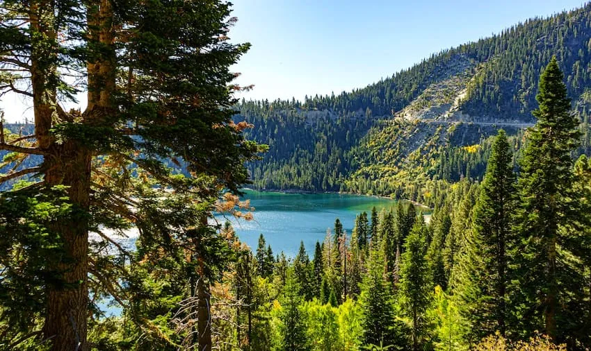 Naturaleza verde que rodea el lago Tahoe