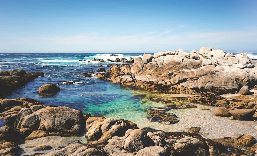 Plage Point Lobos