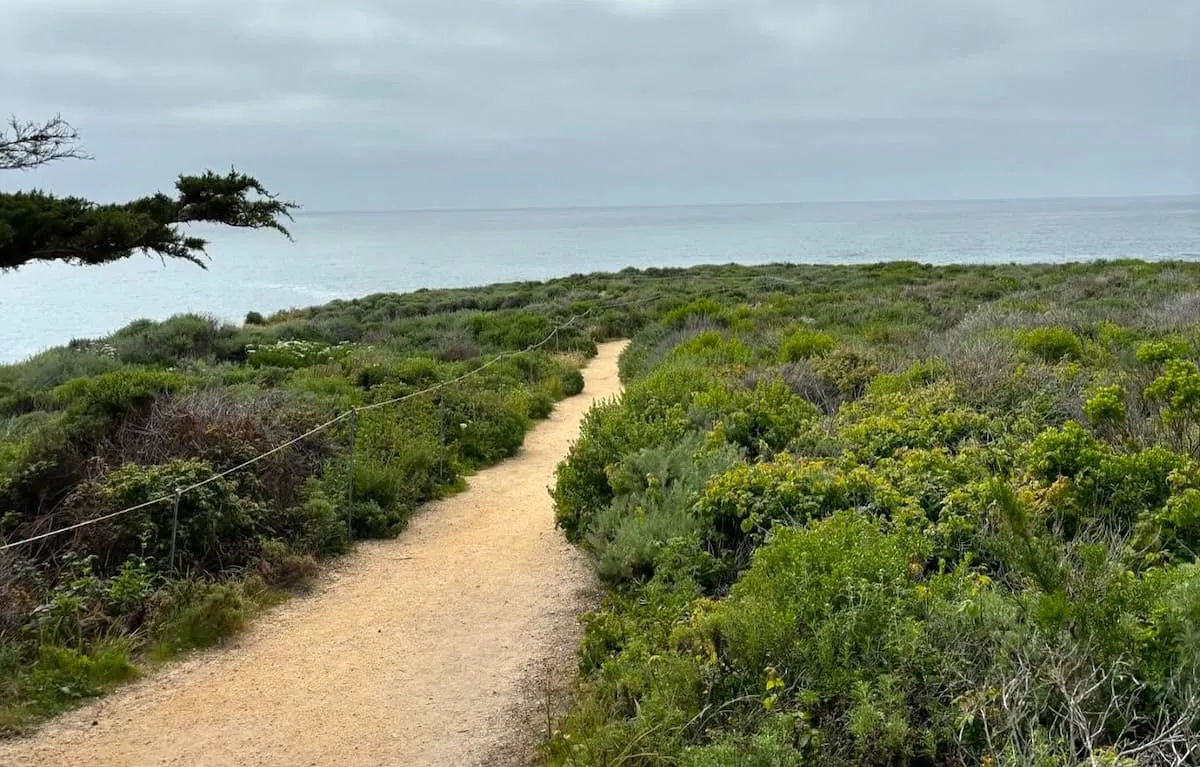 Small trail in Garrapata State Park, perfect for mountain biking or hiking