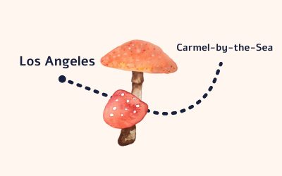 From Los Angeles to Carmel-by-the-Sea