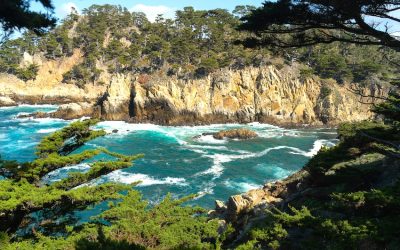 Point Lobos State Natural Reserve Carmel by the Sea